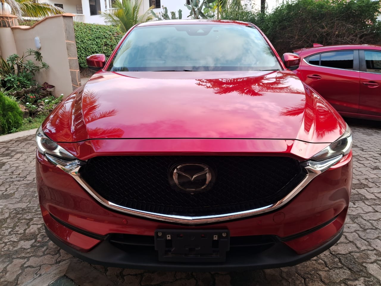 Car Model 15